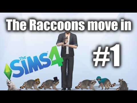 Steam Community :: Video :: The Sims 4: Raccoons! #1 - Making friends ...