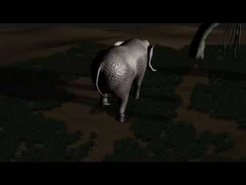 ALA ANU - Igbo Language Education Cartoons & Movies