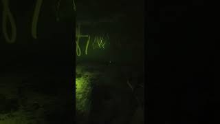 ワイプ初日の出来事
