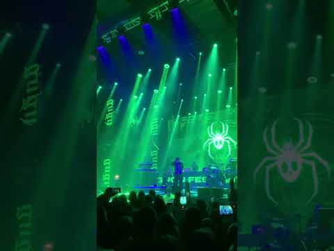 Rip Scotty x Leeo Borderline GUGU FESTIWAL 2022