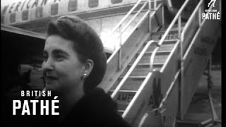 Barbara Hutton Plane (1951)