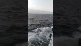 Zara vur gitsin beni