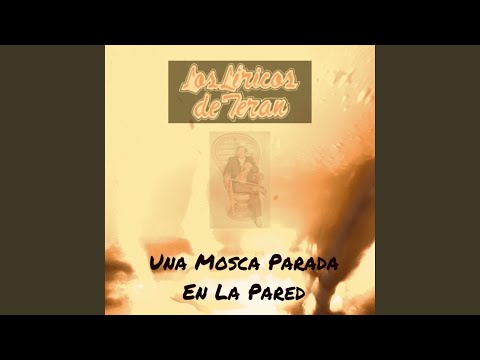 Una Mosca Parada en la Pared