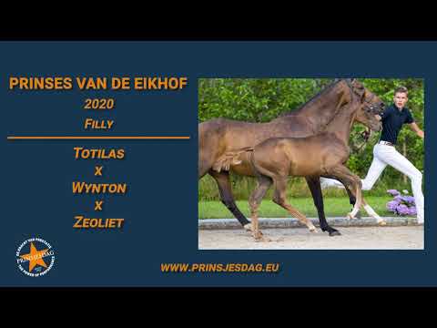 Prinses van de Eikhof (Totilas x Wynton) – www.prinsjesdag.eu