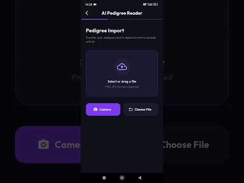Mypedigre
