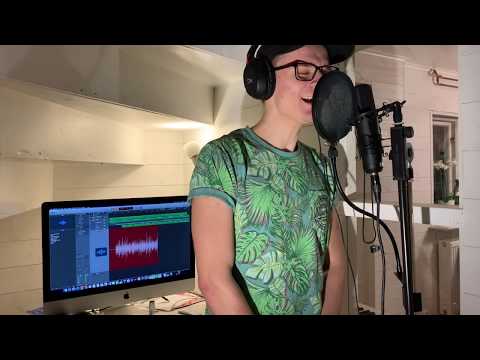 Khalid - Young Dumb & Broke | Cover by Erik Werkelin