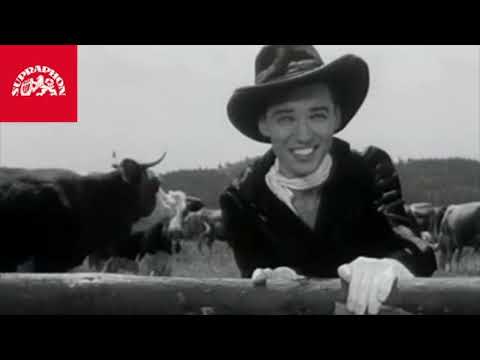 Karel Gott Zloděj dobytka  (stereo verze)