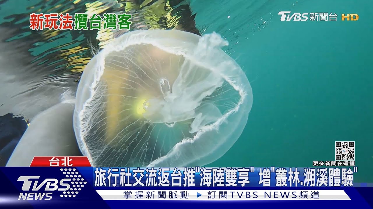 上帝的水族箱! 帛琉經旅遊淡季「水母重生」更美