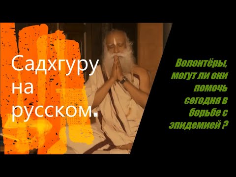 Волонтёры, могут ли они помочь сегодня в борьбе с эпидемией ? Садхгуру на русском.