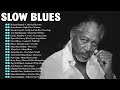 Best Blues Music 90' - Richard Bargel, Brant Parker, Murali Coryell & MORE