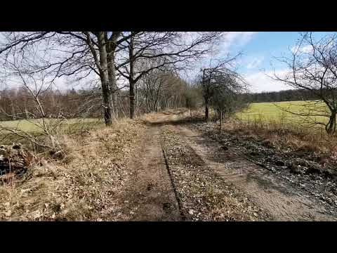 DEN GAMLA VÄGEN vid ödetomten - 210318 - HASSLÖRONDELLEN - Johannishus - Bjärbylund - Huawei p30 PRO