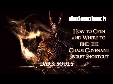 Where To Find The Chaos Covenant Shortcut | Tips N Tricks - Dark Souls I