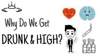 Why Do We Get Drunk and High? - Animated Short Story