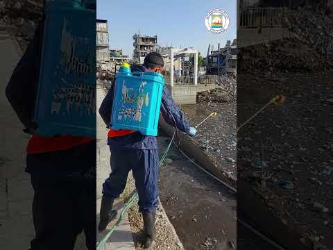 انطلاق حملة مكافحة القوارض والحشرات..