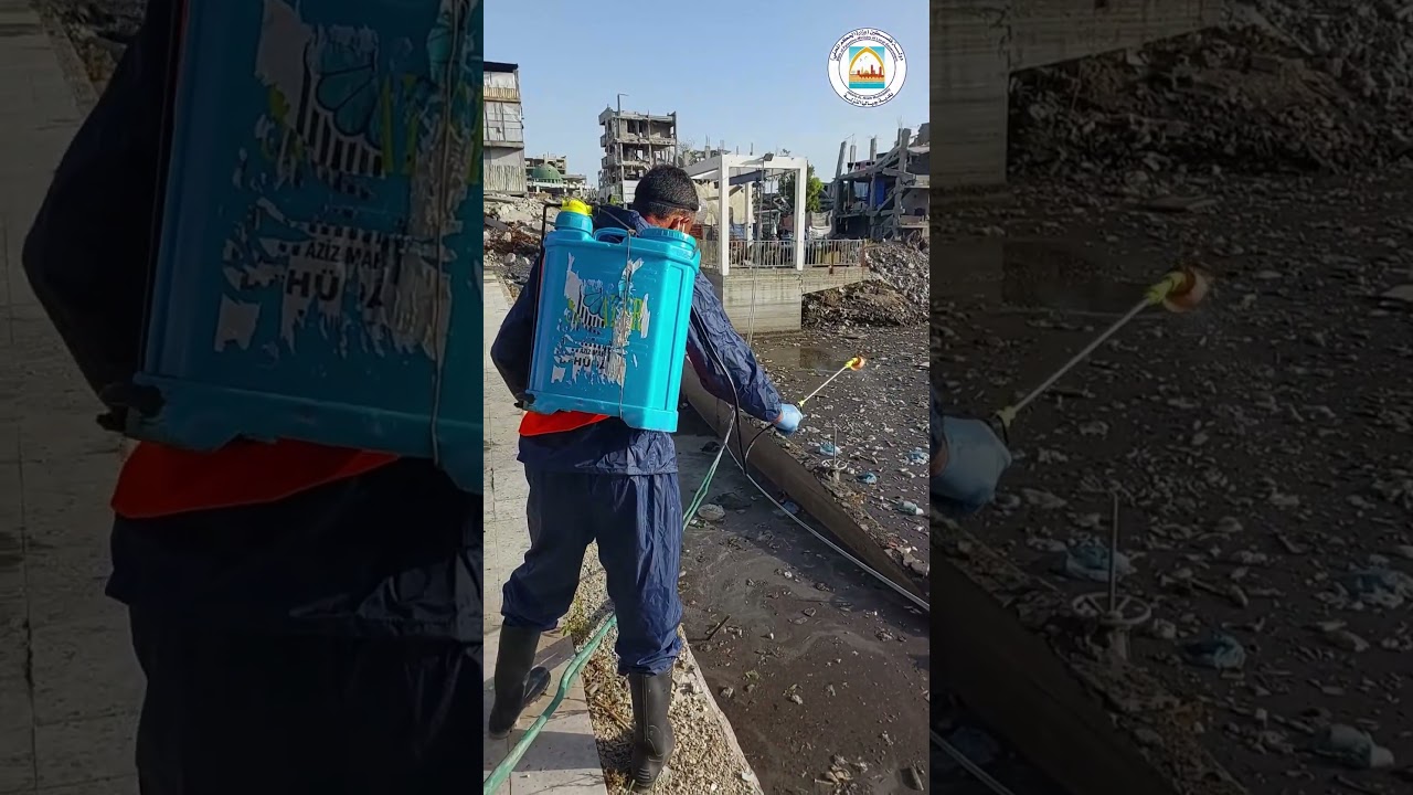انطلاق حملة مكافحة القوارض والحشرات..