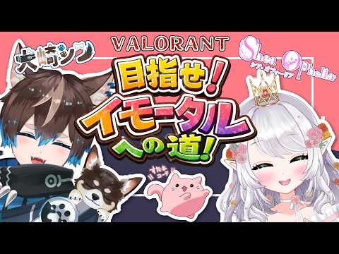 【 #VALORANT #目指せ！イモータルへの道！ 】犬崎シンさんとイモ目指す！第5回目！【 #シアオフィ 】