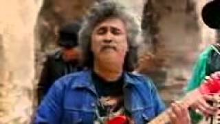 The Texas Tornados   Rosa De Amor