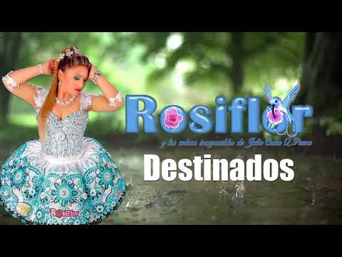Rosiflor - Destinados Video Lyric