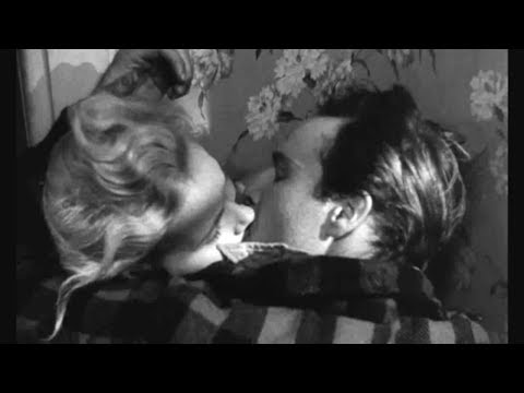 Racoon Racoon - Dawn Chorus