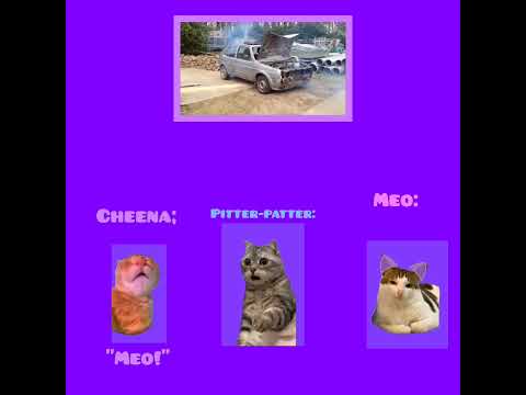 CAT MEMES 🐱 Car engine blows up reaction videos compilation