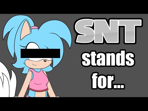 What does SNT stand for? - The story of how I created my Sonic OC
