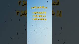 Download lagu Surah al kkawser #surahkawthar #سورة_الكوثر #egzonibrahimi #islamicprayer #nature #birds #shorts mp3 Download lagu Surah al kkawser #surahkawthar #سورة_الكوثر #egzonibrahimi #islamicprayer #nature #birds #shorts mp3