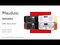 Audizio DAB+ Radio Novara Holzoptik