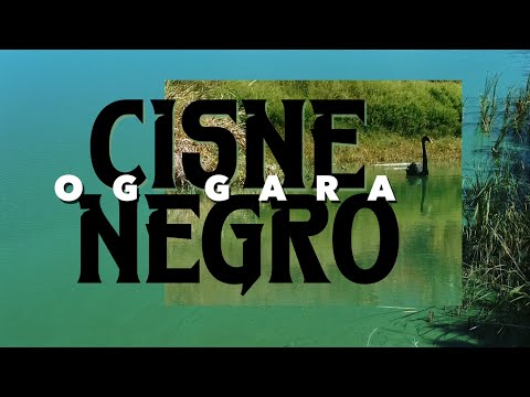 Cisne Negra