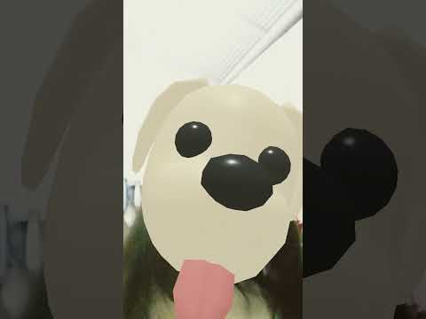 19 de diciembre de 2025