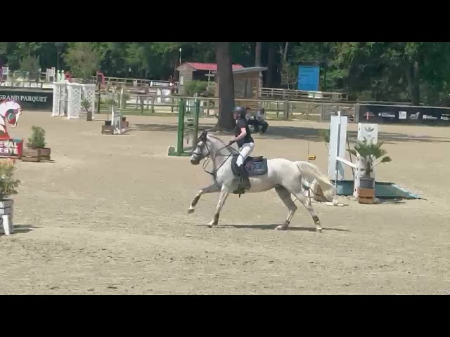 A vendre ponette as1 as2 ma&icirc;tre  d'&eacute;cole 