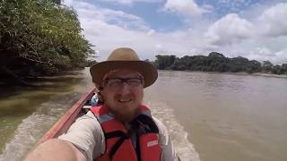 preview picture of video 'Caño Cristales (Rio de los 5 colores) / La Macarena / Meta / Colombia'