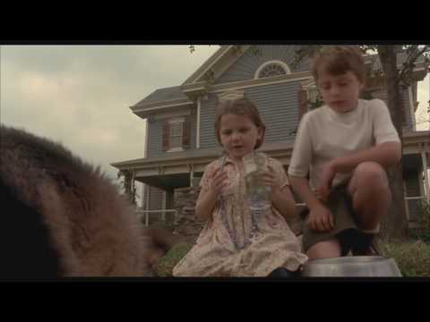 Karim Debbache: CHROMA S01 04 SIGNES