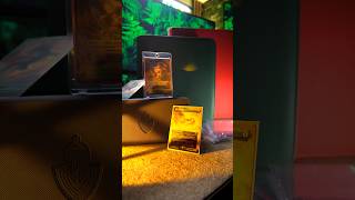 Which Binder Should You Use for Your TCG Collection? 👀