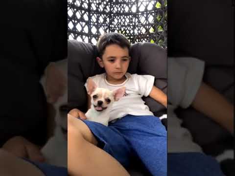 Ehersisyo para sa pagbaba ng timbang sa mga binti at tiyan video Mawalan ng timbang na may tubig ay simpleng