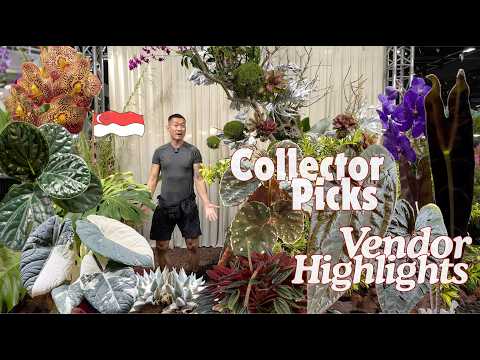 Singapore Planter’s Market | Exquisite Rare Plants, Aroids, New Hybrids, Timeless Classics, Blooms