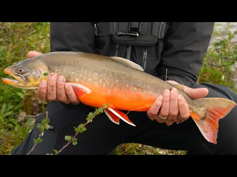 Pekkojen Pojat Finnmarkissa osa 1/2 - Raudut ja niiden olinpaikat