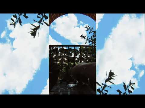 Turtls - SP 404 Live Mix