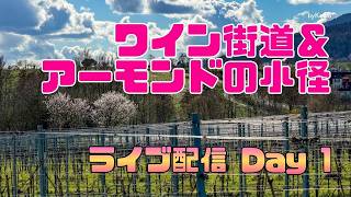 ライブ中継！Day 1 ドイツ・ワイン街道＆アーモンドの小径ハイキング(Mandelpfad)