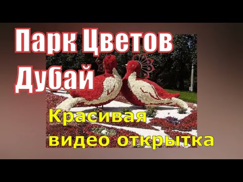 Музыкальная видео открытка Шедевры  из Цветов  созданные руками Человека