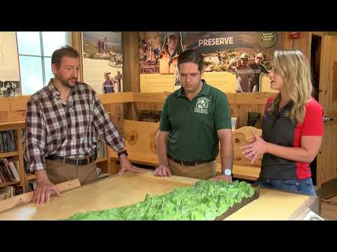 This Place in History: The Long Trail