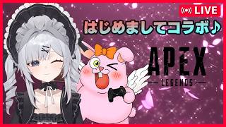 【APEX/サシ】コメント読んでくよ！楽しくわいわいAPEX♪with天揺みるは【初見歓迎/#Vtuber】