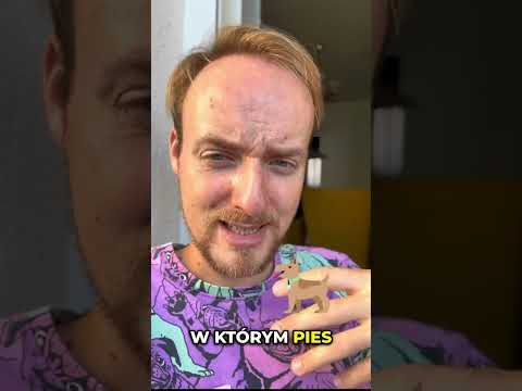 Agresja lękowa? A wiesz o sygnałach, które ją zapowiadają?