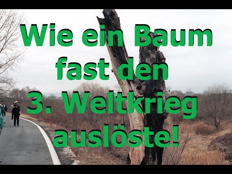 Wie ein Baum fast den 3. Weltkrieg auslöste
