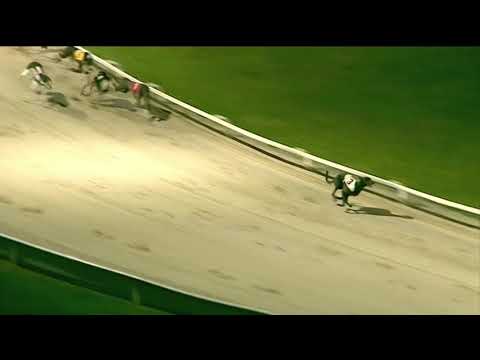 2018 STAR SPORTS DERBY SENIORS - T3 SHANEBOY FREDDIE