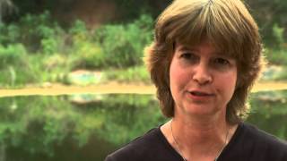 Studying Salamanders