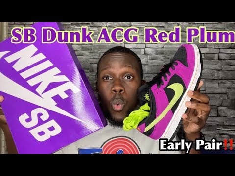 Nike SB Dunk Low Pro ACG Terra Red Plum EARLY Review