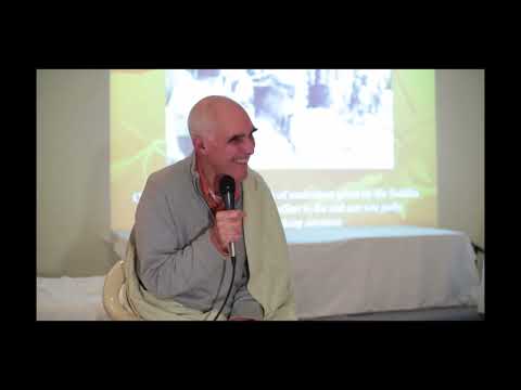 Venerable  Webu Sayadaw - a talk by Patrick Given Wilson
