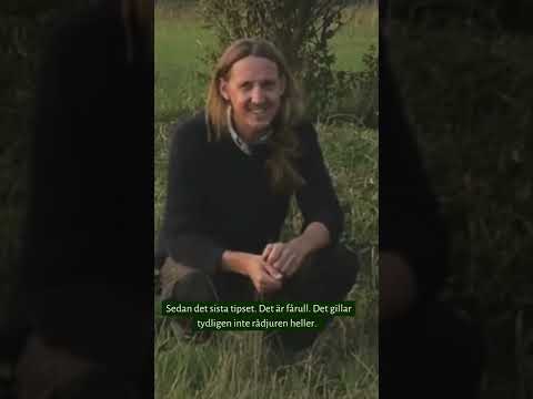 Vill du ha dina tulpaner kvar i rabatten? - Trädgårdshacks med GardenR