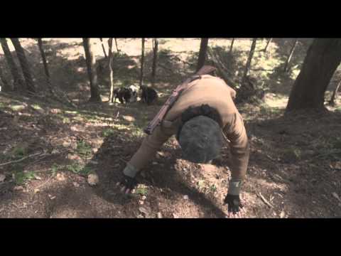 Partisan (Clip 'Untrustful')