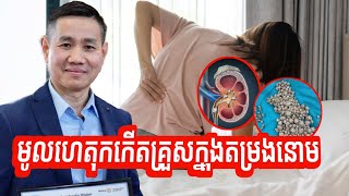 មូលហេតុកើតគ្រួសក្នុងតម្រងនោម | លោក លី ប៉េងតែ